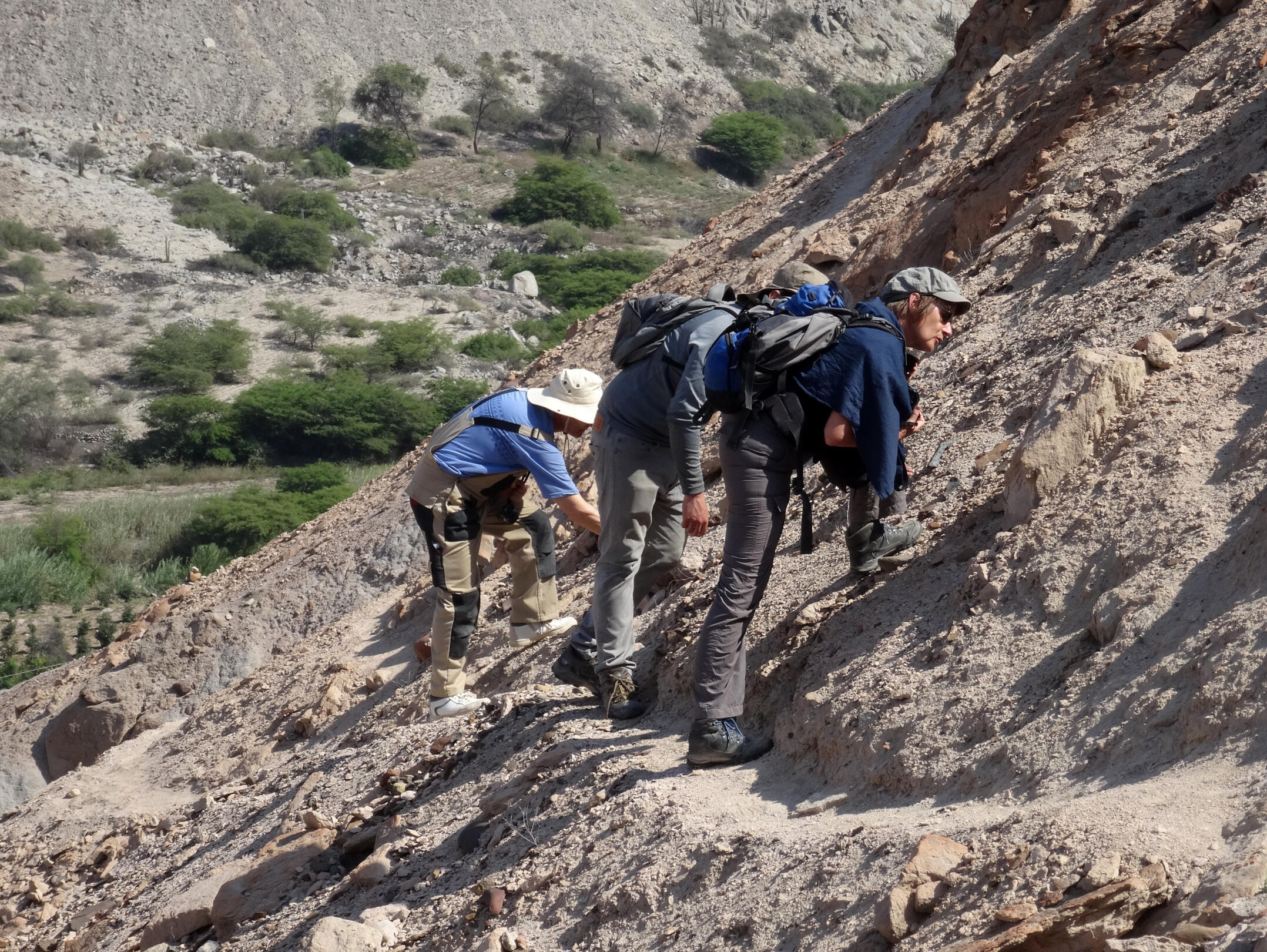 Wissenschaftler aus drei Ländern während der interdisziplinären Feldkampagne auf der Ebene von Nazca und Palpa.